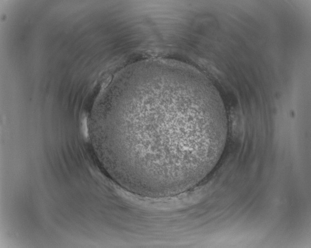 X0000076310042200610161630