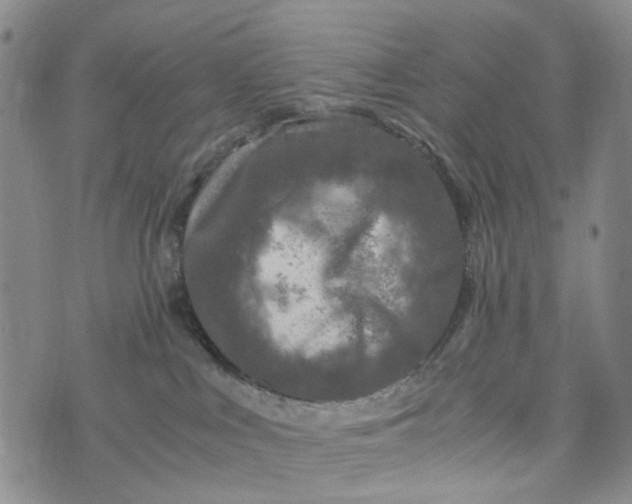 X0000076310043200610161630