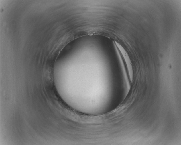 X0000076310044200610161630