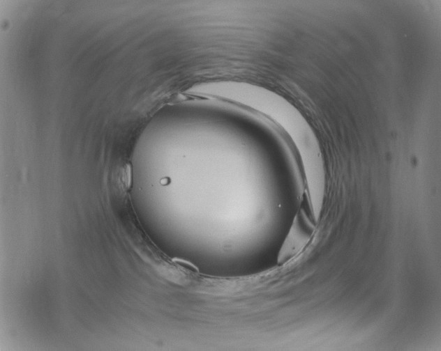 X0000076310045200610161630