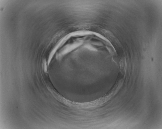 X0000076310046200610161630