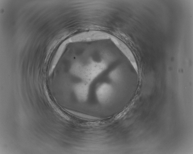 X0000076310049200610161629