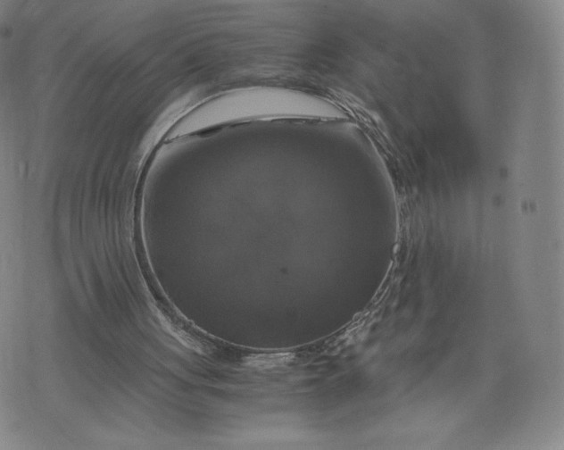 X0000076310051200610161629