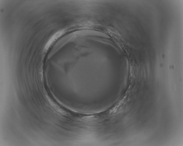 X0000076310054200610161629