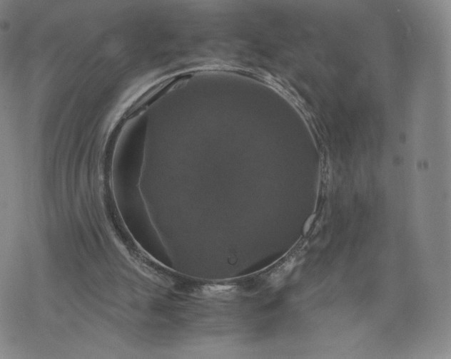 X0000076310055200610161629