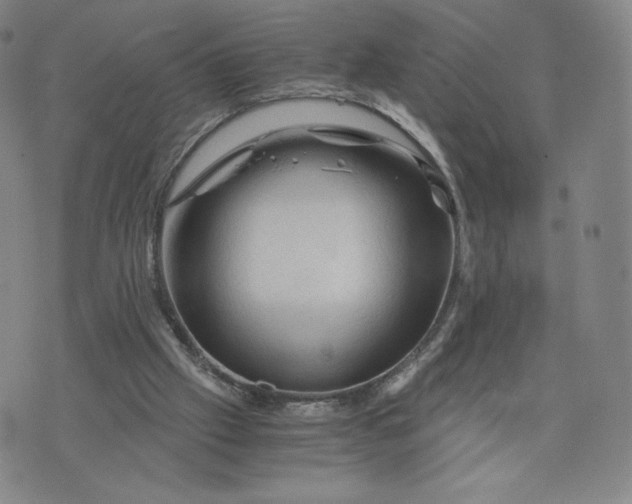 X0000076310057200610161629