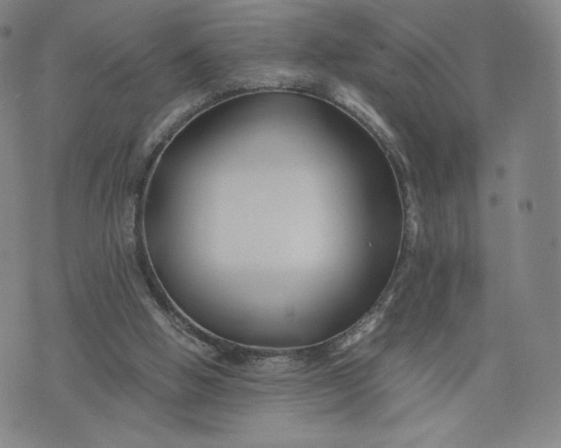 X0000076310058200610161629