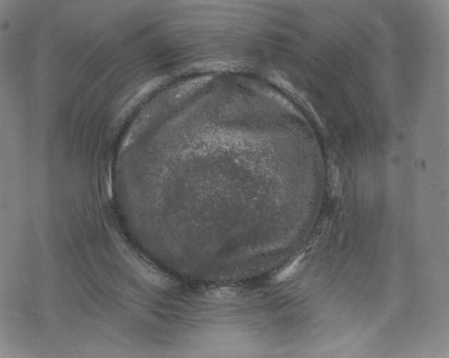 X0000076310062200610161629