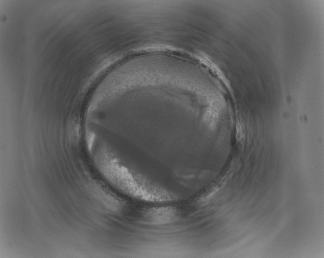 X0000076310063200610161629