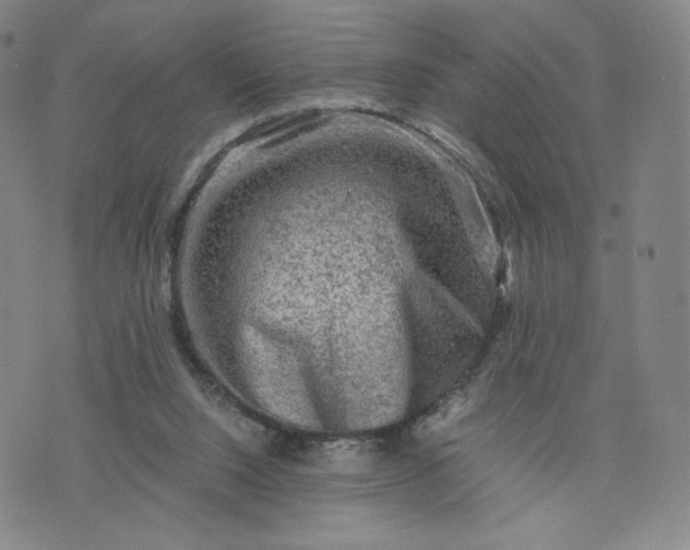 X0000076310064200610161629