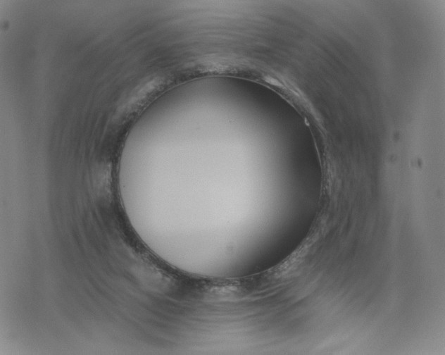 X0000076310066200610161629