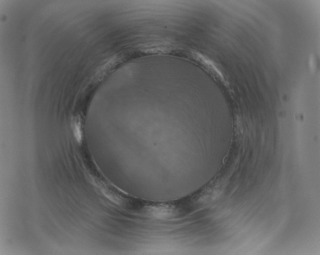 X0000076310069200610161629