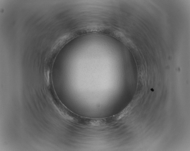 X0000076310070200610161629