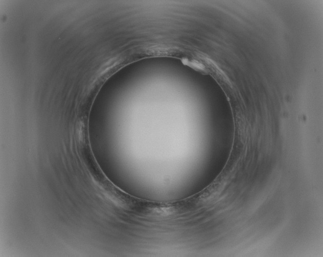 X0000076310071200610161629