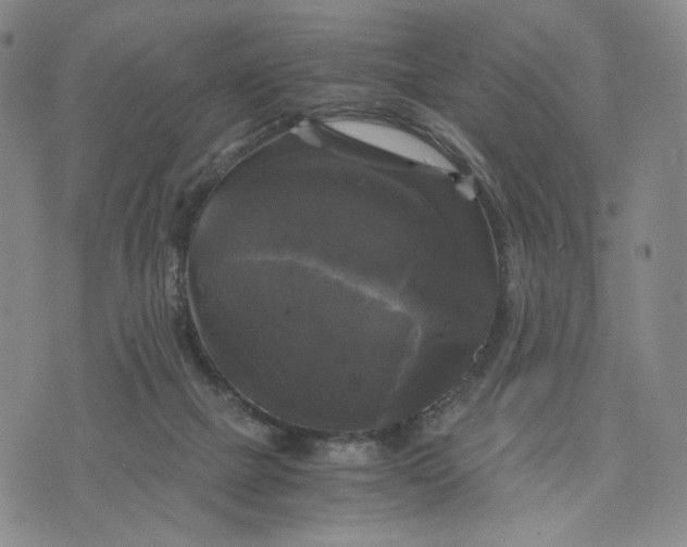 X0000076310073200610161629