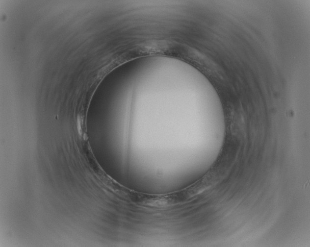 X0000076310075200610161629