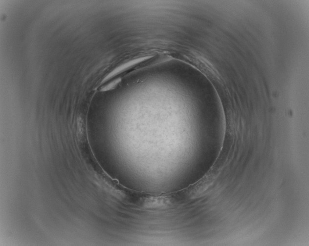 X0000076310077200610161629