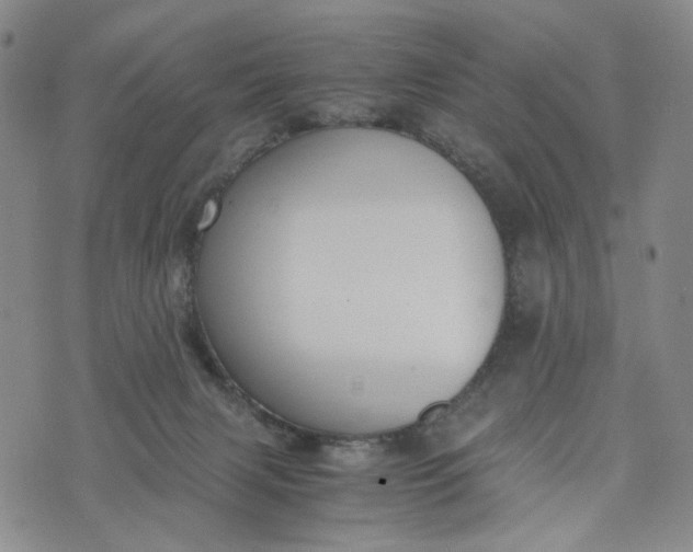 X0000076310079200610161629