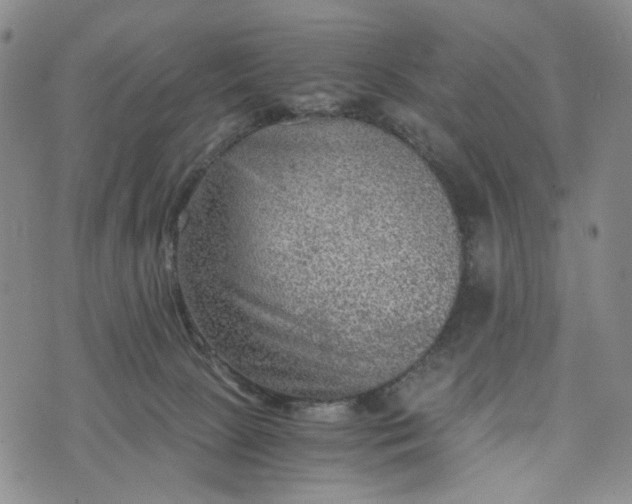 X0000076310081200610161629