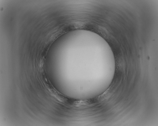 X0000076310082200610161629