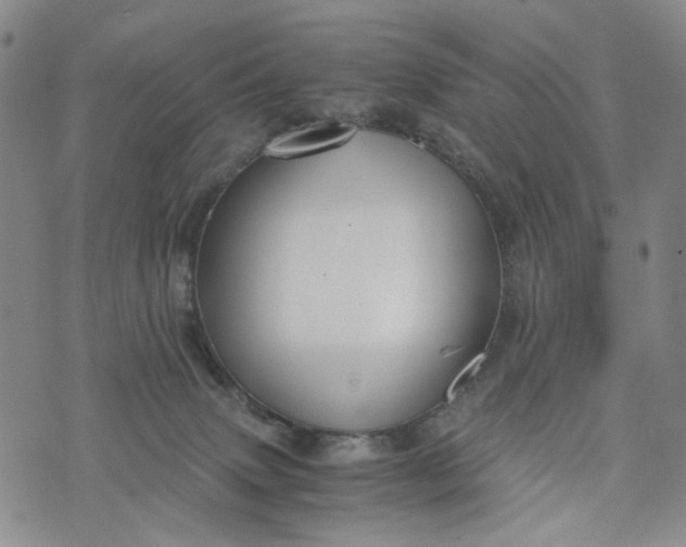 X0000076310083200610161629