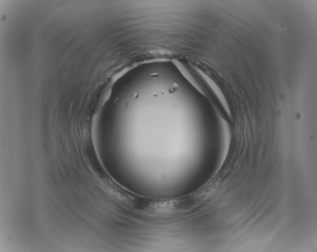 X0000076310084200610161629