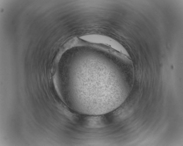 X0000076310085200610161629