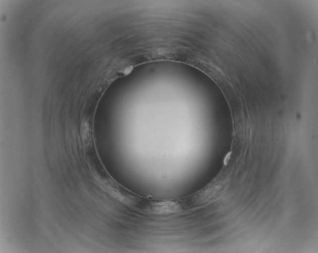 X0000076310087200610161629