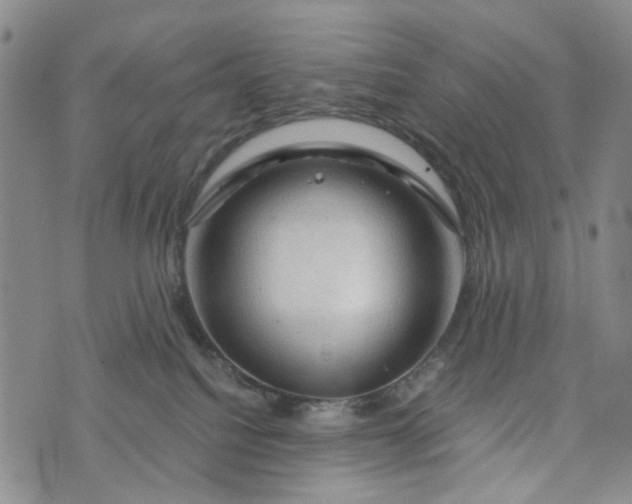 X0000076310088200610161629