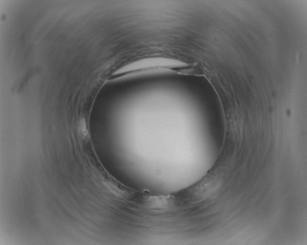 X0000076310089200610161629