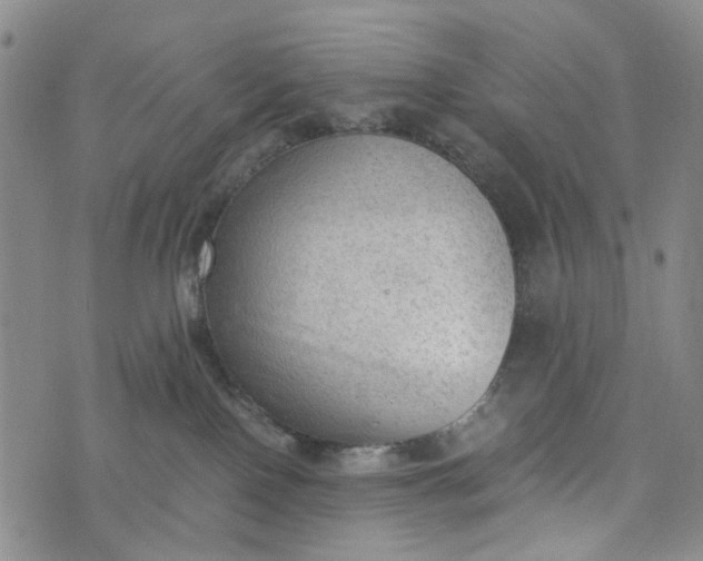 X0000076310090200610161629