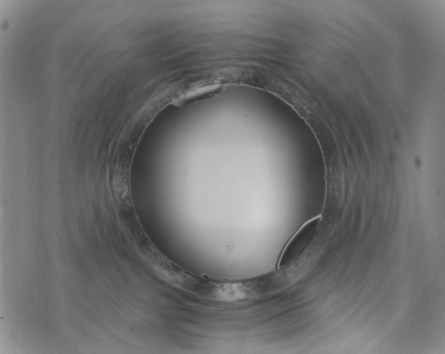 X0000076310091200610161629