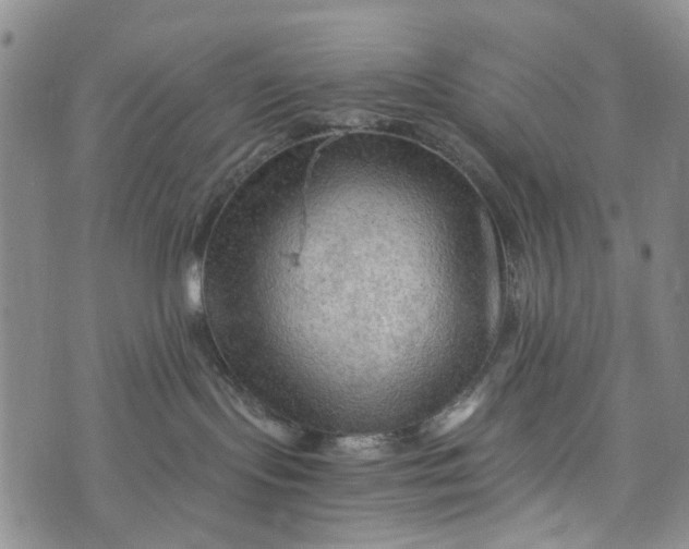 X0000076310095200610161629