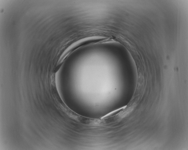 X0000076310096200610161629