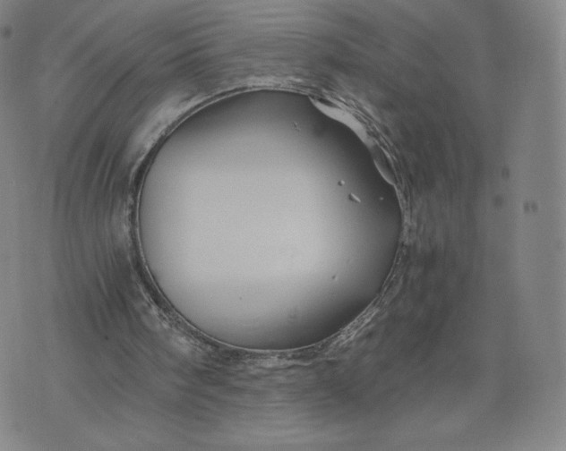 X0000076310098200610161629