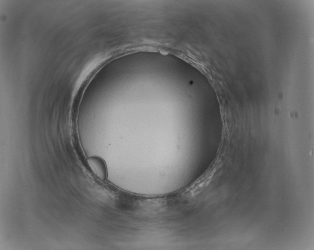 X0000076310102200610161629