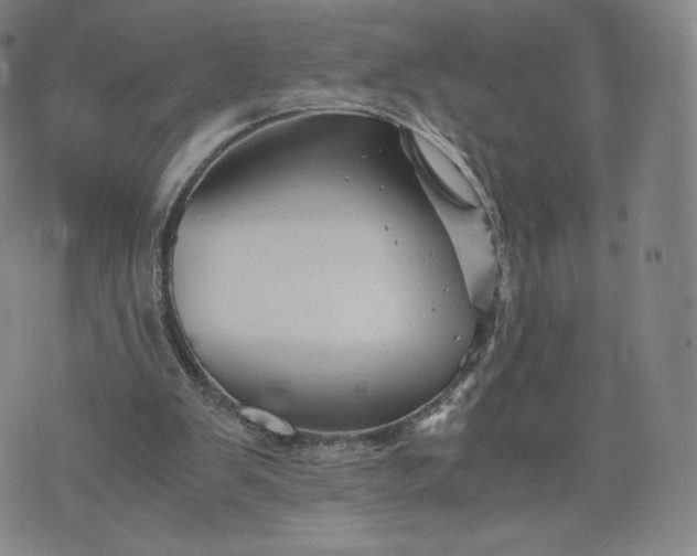 X0000076310103200610161629