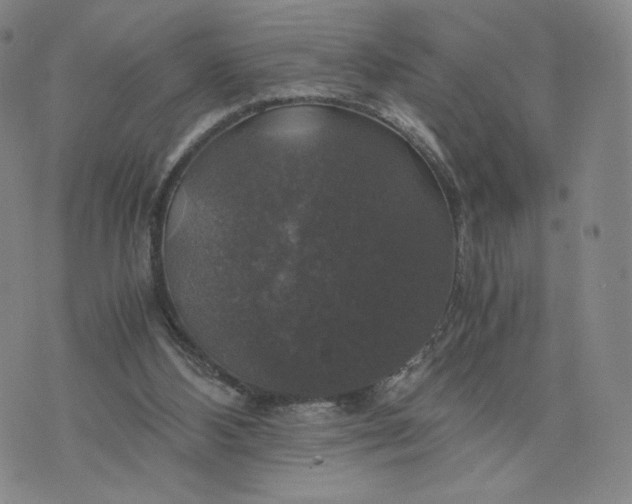 X0000076310108200610161629