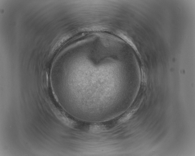 X0000076310109200610161628