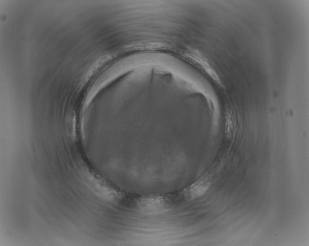 X0000076310110200610161628