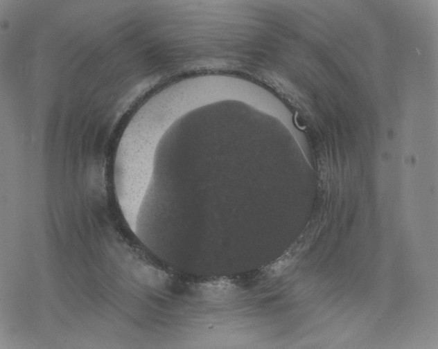 X0000076310112200610161628