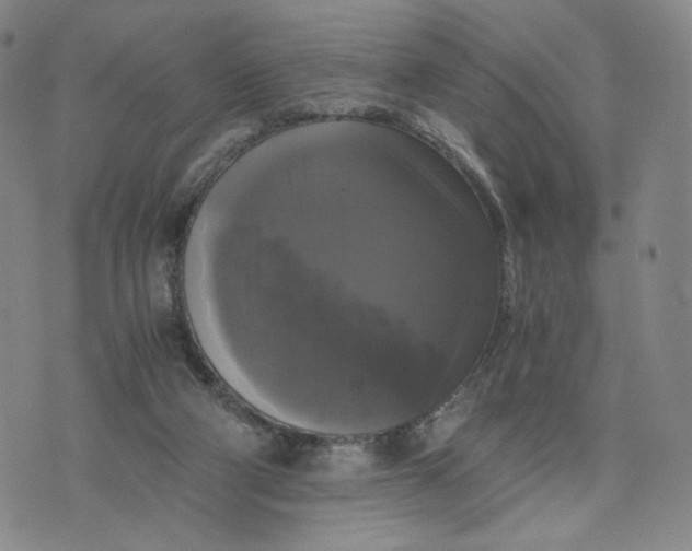 X0000076310114200610161628