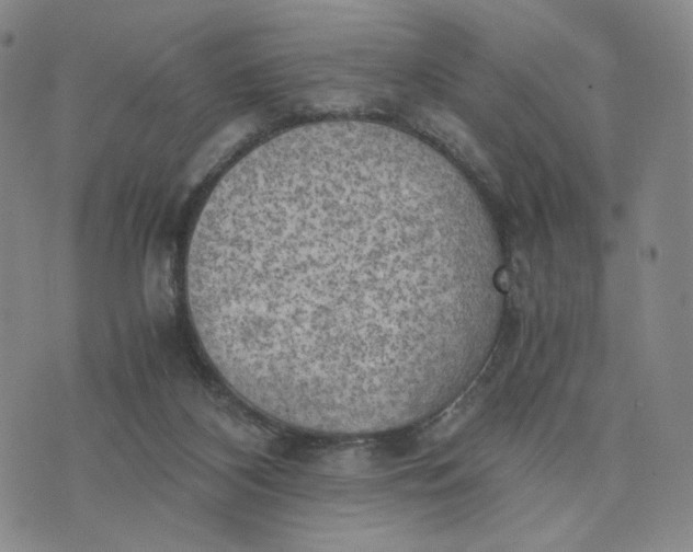 X0000076310116200610161628