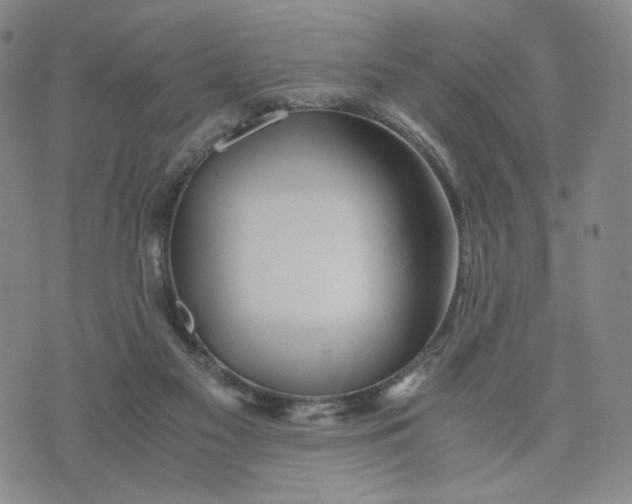 X0000076310117200610161628