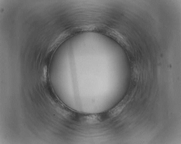 X0000076310118200610161628