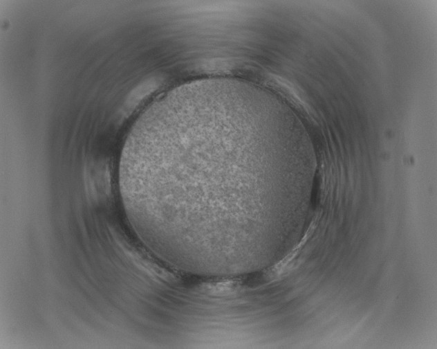 X0000076310120200610161628