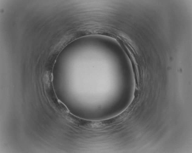 X0000076310121200610161628