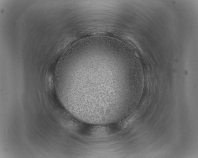 X0000076310123200610161628