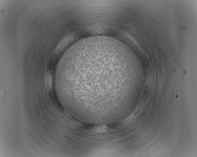 X0000076310124200610161628