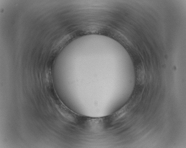 X0000076310126200610161628